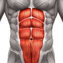 Six pack