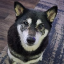 Bandit