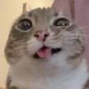 NotZhan