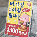 하마ᴴᴵᴾᴾᴼ