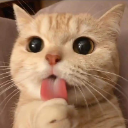 mO_On