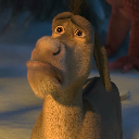 SEÑOR_BURRO