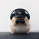 ༒小V༒
