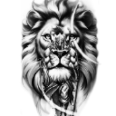 Mr Lion
