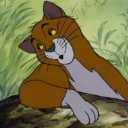 CAT DADDY