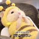 햄씨ʕ·͡ᴥ፝֟·ʔ