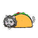 Tacocat