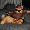 Swag Cat