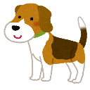 beagleeee