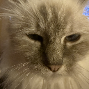 Not_Amused