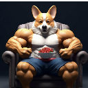 Corgi