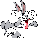 Bex Bunny
