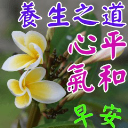 早安喜樂，心平氣和