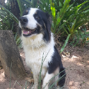 BRUNOKA