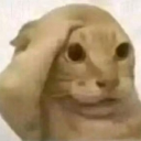 VSSdominateARC
