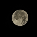 ~●Luna●~