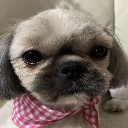 ちゃんうみ