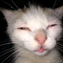 Emdoi
