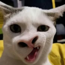 Eeeehhhh