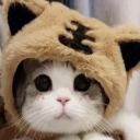 Boymanʕ·͡ᴥ፝֟·ʔ໒꒱