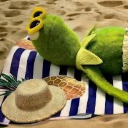 Kermit theBum