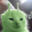 Dr Green