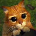 Kittix