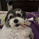 Pretzel