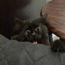 BlckCat