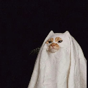 cau
