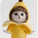 anabanana