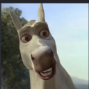 burro sexy