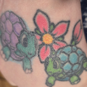 SweetPTurtle