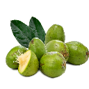 Kedondong