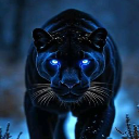 Shadow