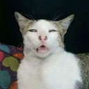 kopetlambang