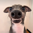 ×̷̷͜Pochitaᴷʳᴾ