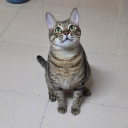 高速婆婆mlllPnPlllm