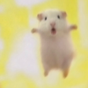 LiooBoo