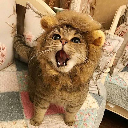 かまちょなアーツ